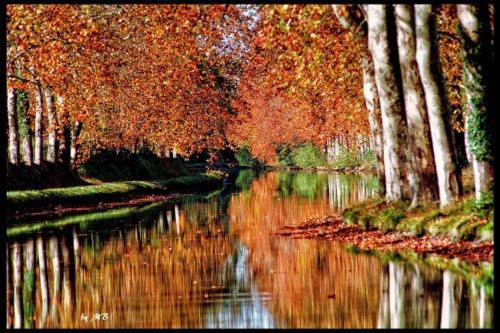 Casa Du Bassin Bed and Breakfast Castelnaudary Esterno foto